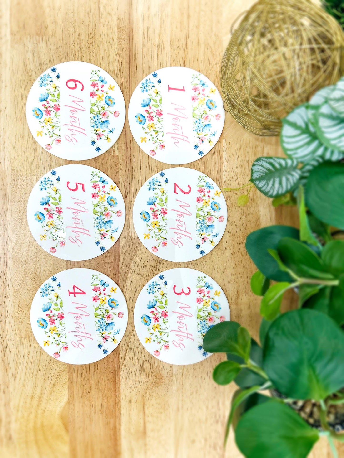 Personalized Baby Milestone Plaques | Gender-Neutral Keepsake, Unique Gift for New Moms, Baby Shower Gift, Monthly Photo Prop Set
