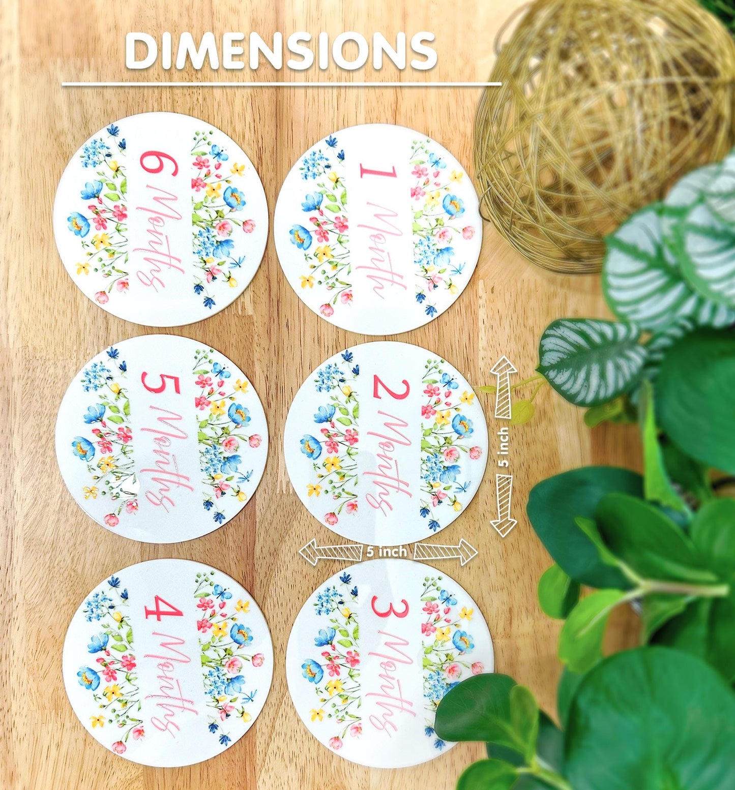 Personalized Baby Milestone Plaques | Gender-Neutral Keepsake, Unique Gift for New Moms, Baby Shower Gift, Monthly Photo Prop Set