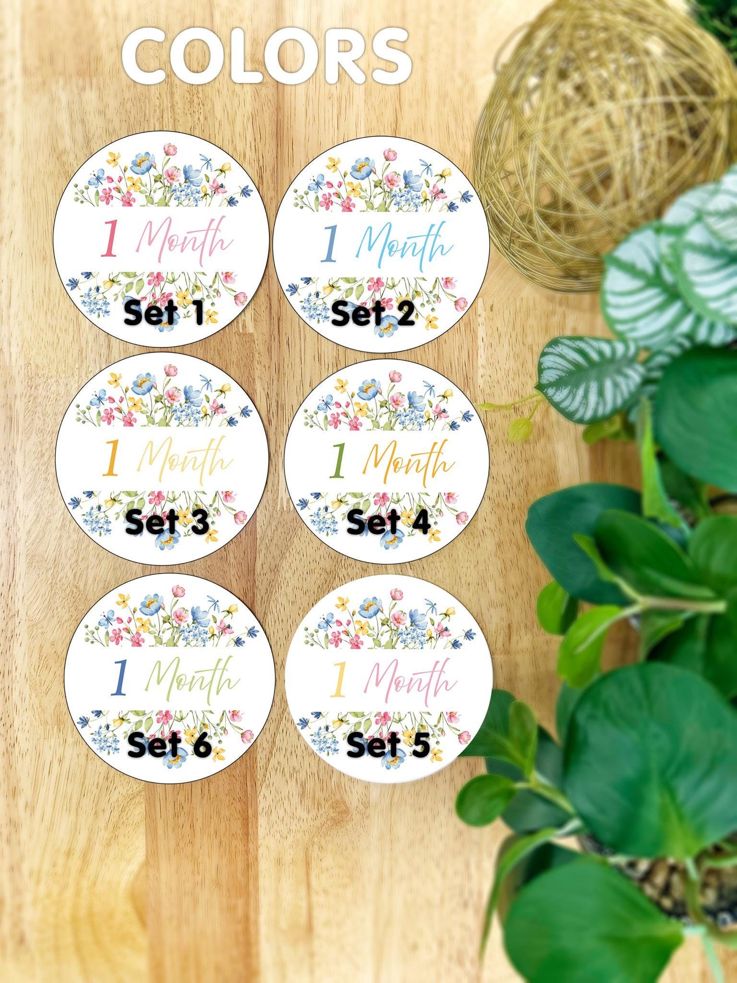 Personalized Baby Milestone Plaques | Gender-Neutral Keepsake, Unique Gift for New Moms, Baby Shower Gift, Monthly Photo Prop Set