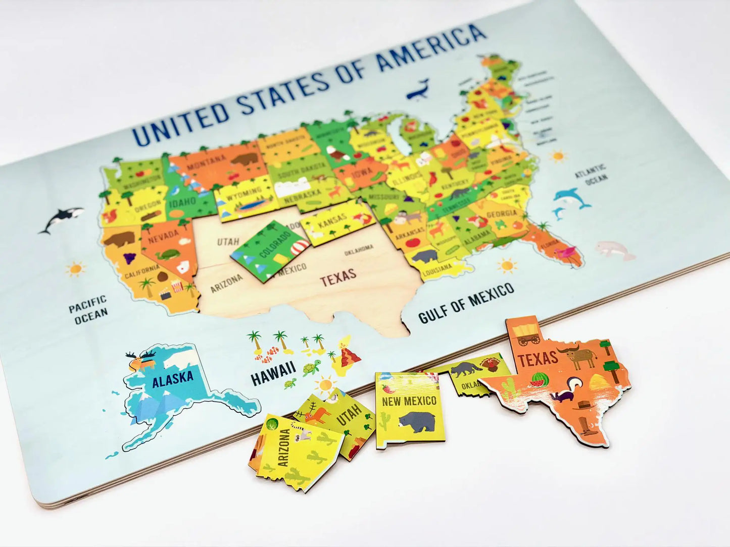 USA Geography Puzzle