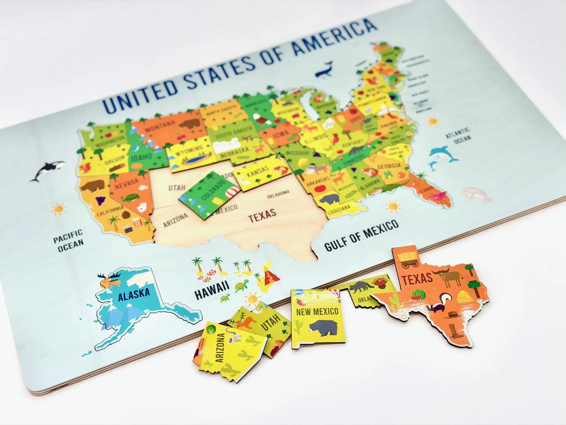 USA Geography Puzzle