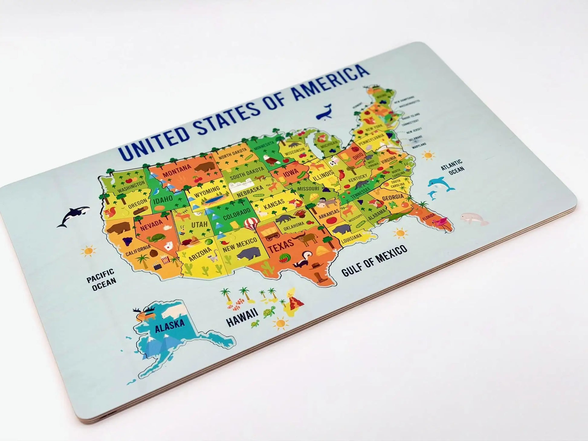 USA Geography Puzzle