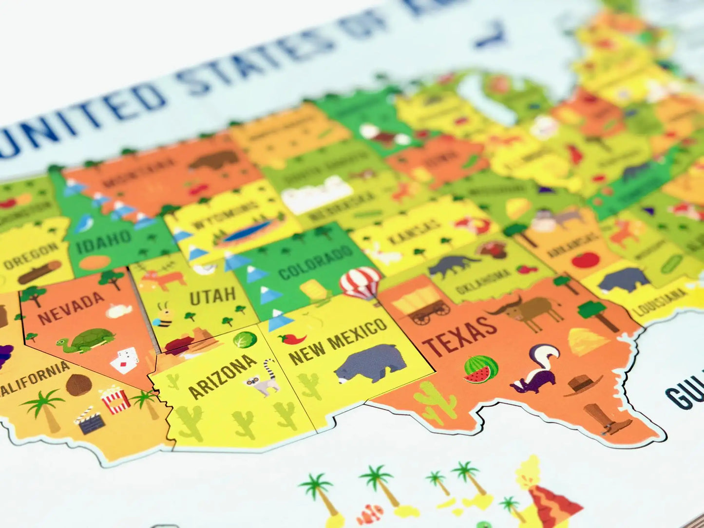 USA Geography Puzzle