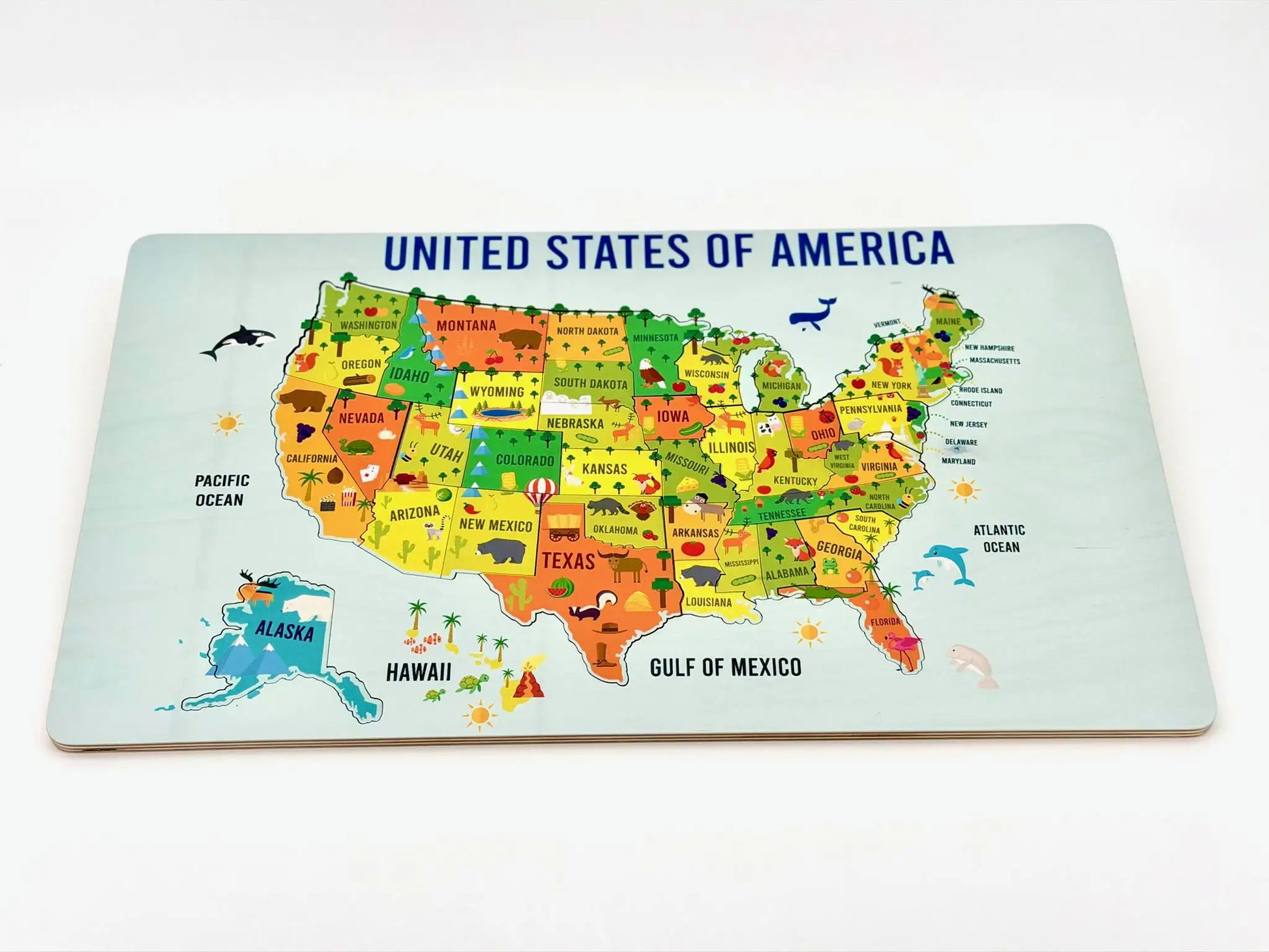 USA Geography Puzzle