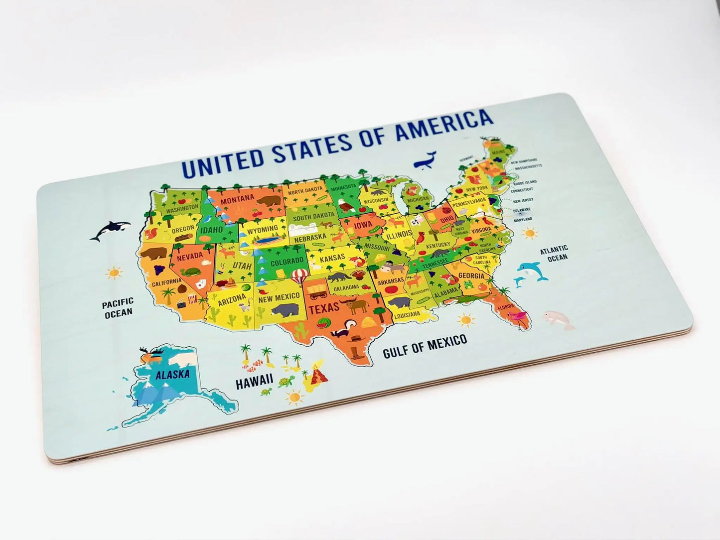 USA Geography Puzzle