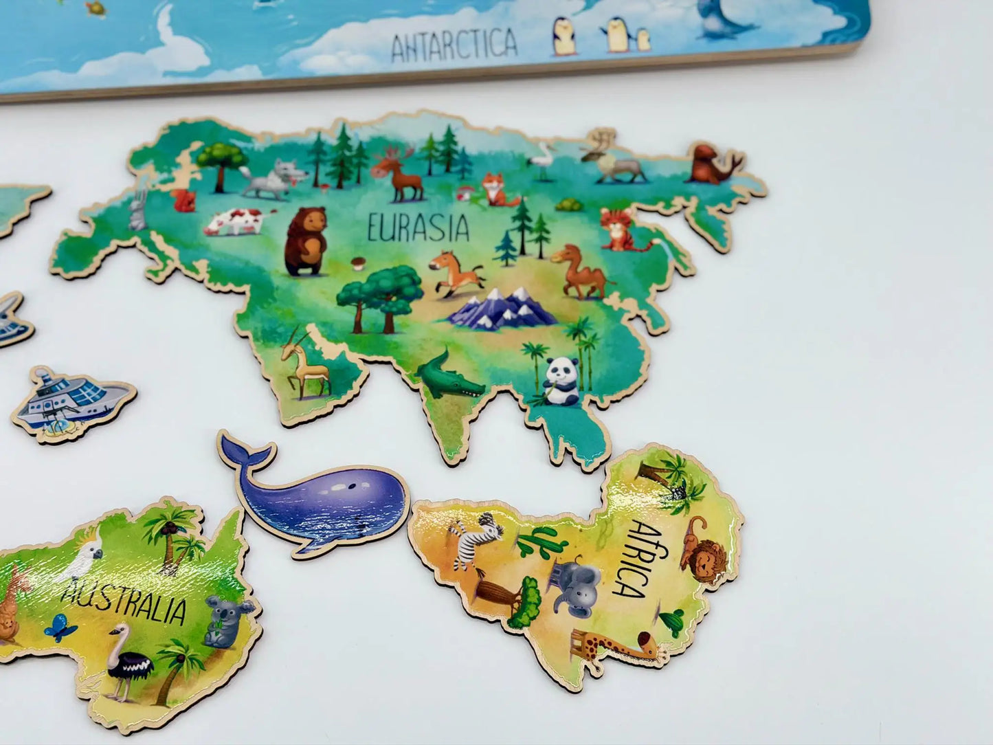 World Geography Puzzle