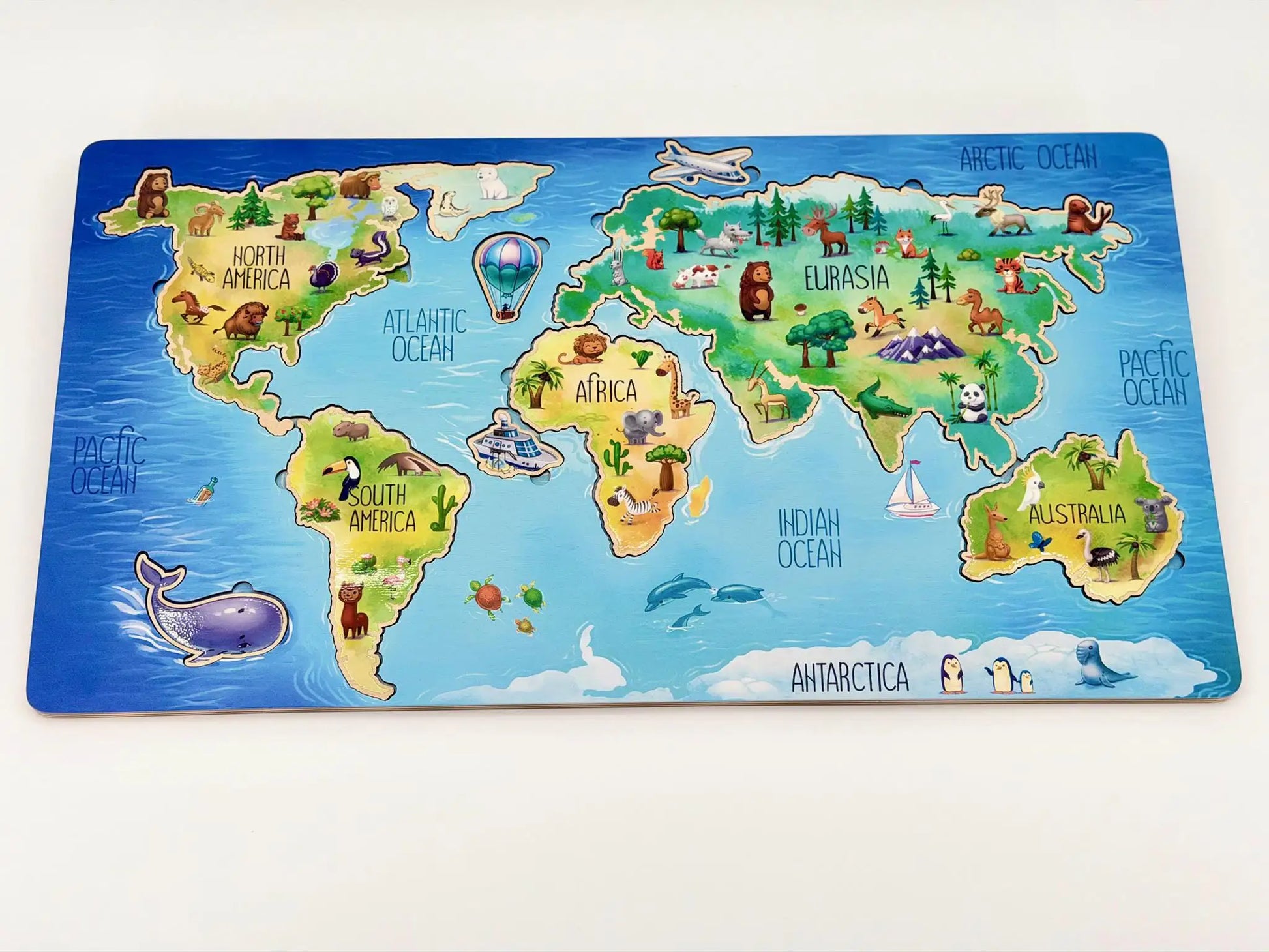 World Geography Puzzle